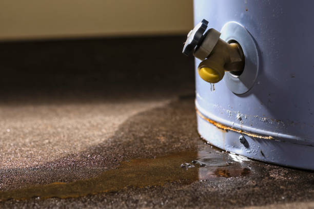 Best Water damage restoration near me  in Marin City, CA