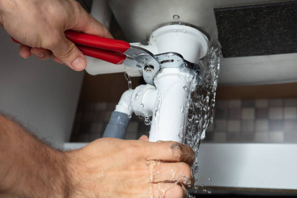 Best Mold removal after water damage  in Marin City, CA
