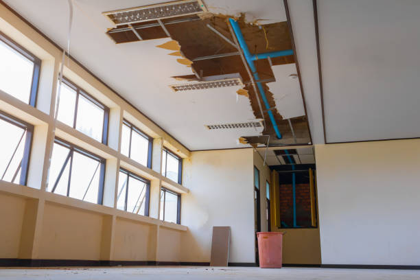 Water damage restoration mold remediation in Marin City, CA