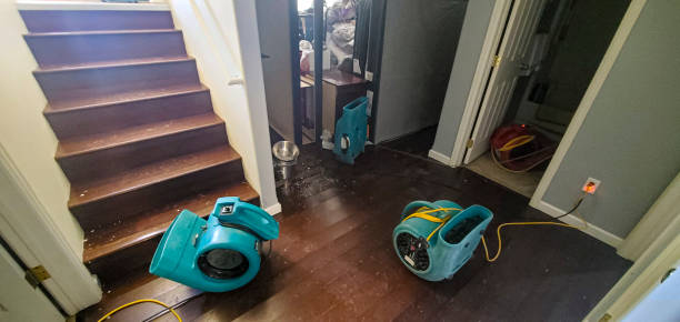 Best Water damage restoration cost  in Marin City, CA