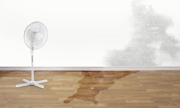 Best Flooded house restoration  in Marin City, CA