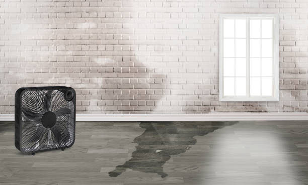 Best Carpet water damage restoration  in Marin City, CA