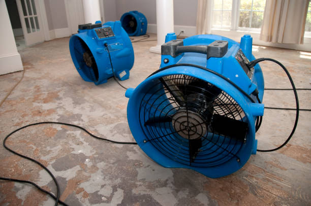  Marin City, CA Water damage restoration Pros