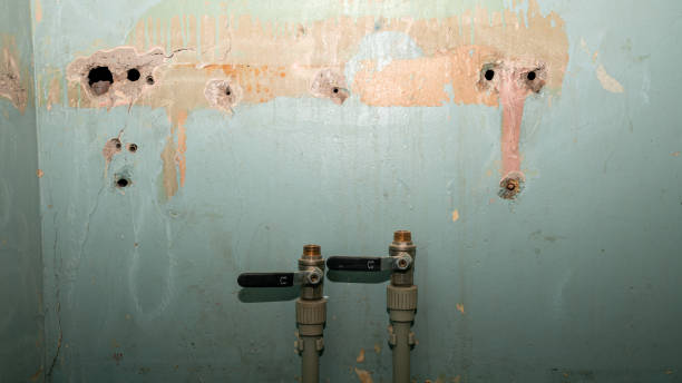 Best Flood damage cleanup  in Marin City, CA