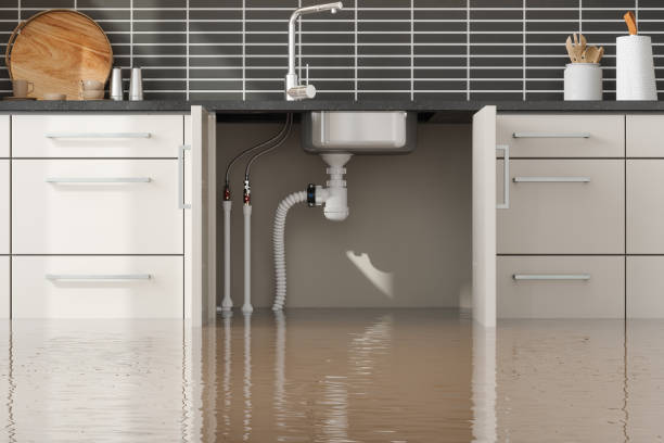 Best Flood restoration services  in Marin City, CA