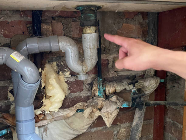 Best Basement water damage restoration  in Marin City, CA