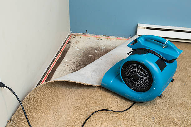 24/7 water damage repair in Marin City, CA